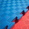 Odin Floor Guards Fitnessgulv 1000x1000x25 mm Rød/Blå