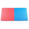 Odin Floor Guards Fitnessgulv 1000x1000x25 mm Rød/Blå