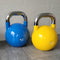 24kg Competition Kettlebell